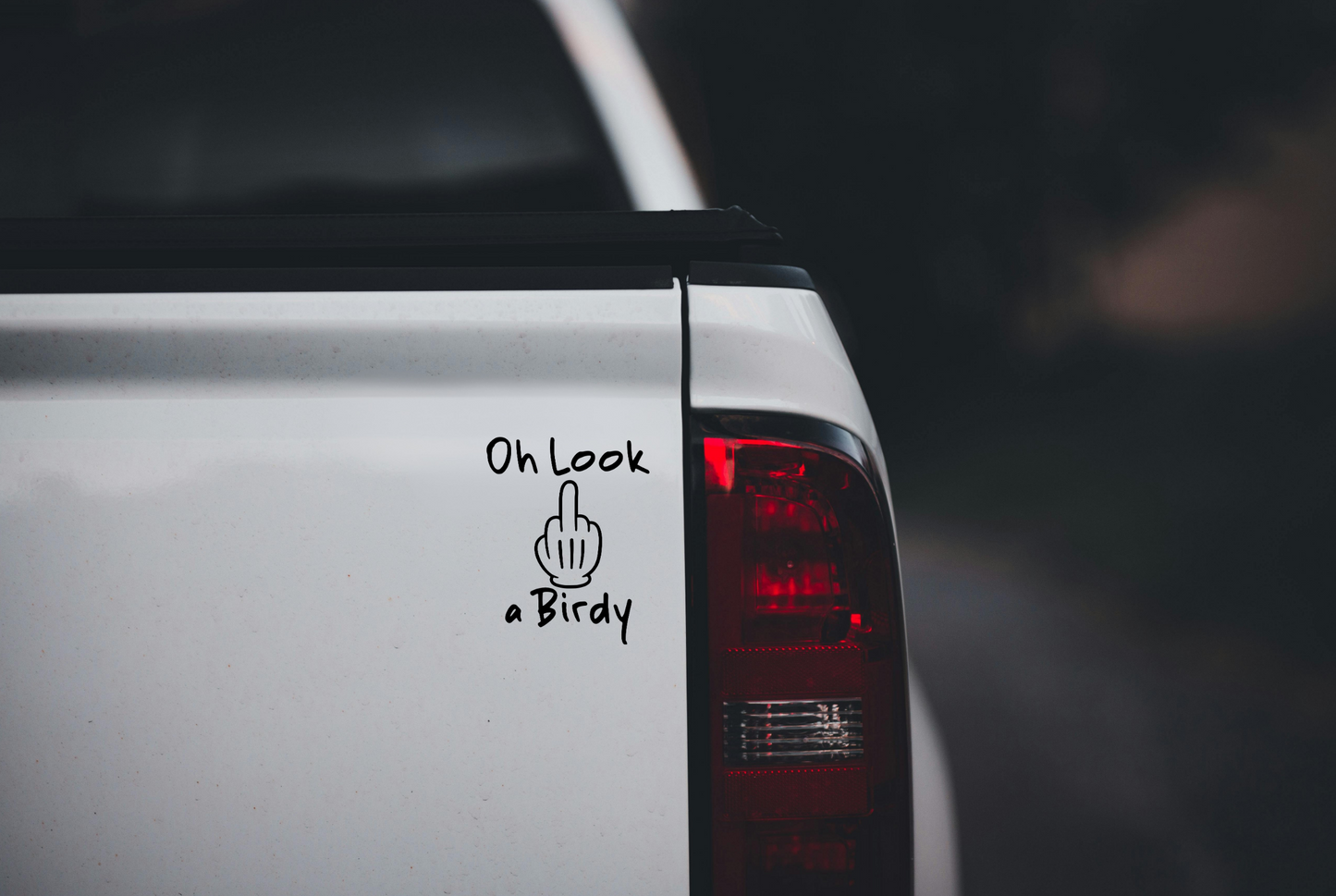 Oh Look a Birdy Vinyl Decal
